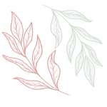 Dalinéa-feuilles-site